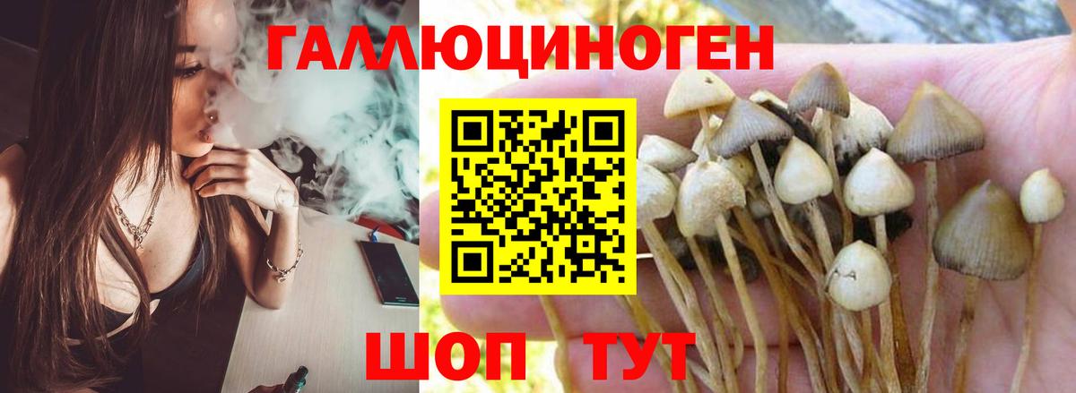 Галлюциногенные грибы Magic Shrooms  Вход с VPN  Лесной 